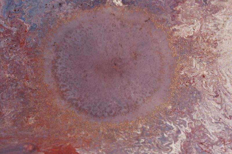 PolsterDesign Meisterwerkstatt - Image 14